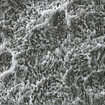 superficie a 4000 X a 10000 X al microscopio a scansione elettronica